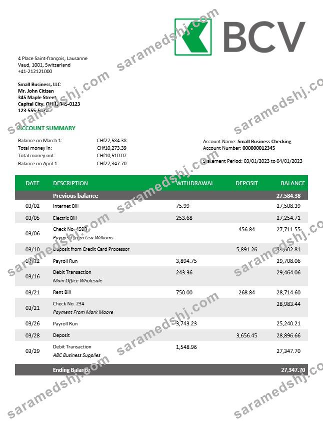 BCV Bank company account statement Word and PDF template